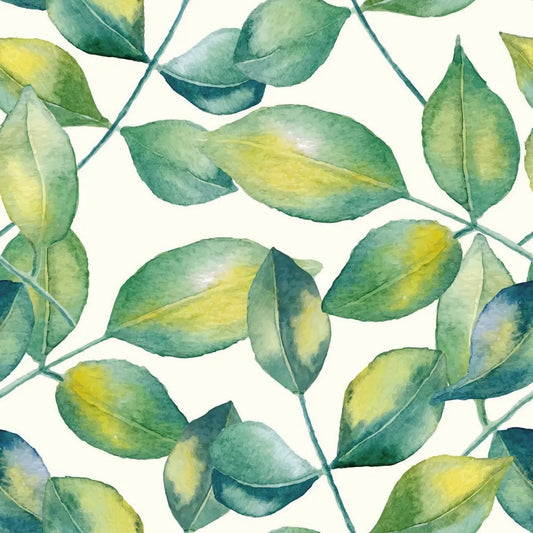 Leaves