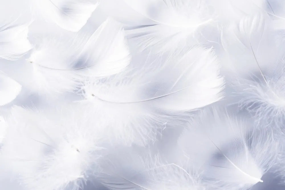 Feathers