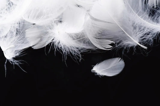 Feathers