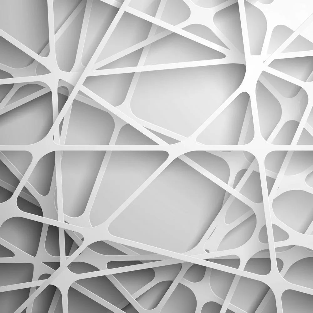 Web