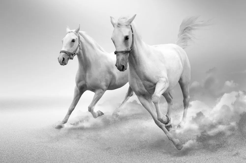 Horses