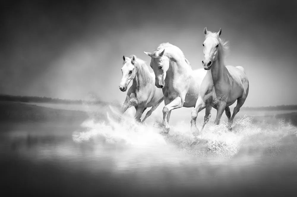 Horses