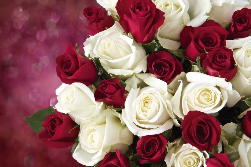 A bouquet of roses
