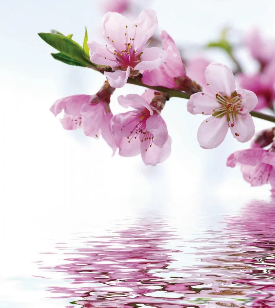 Flowering