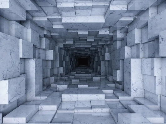 The tunnel