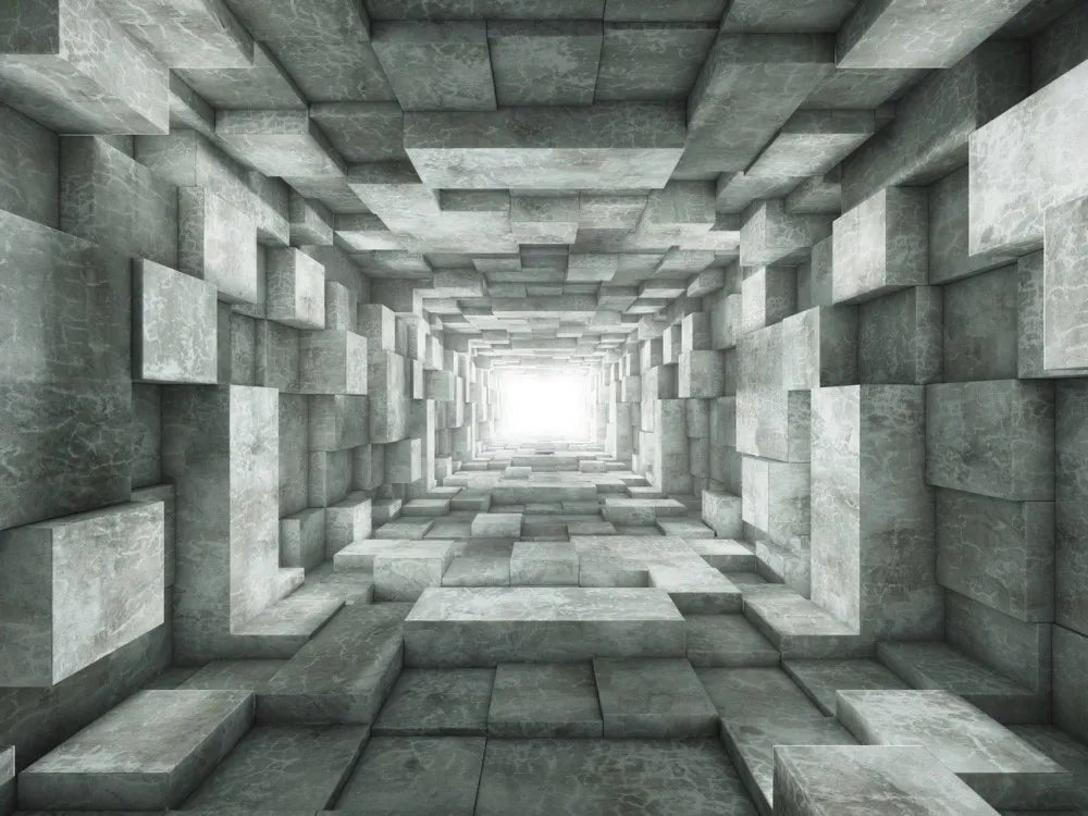The tunnel
