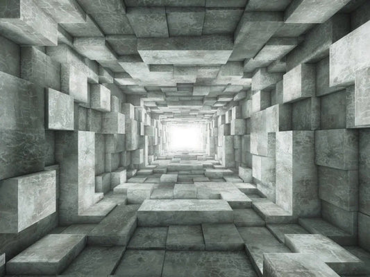 The tunnel