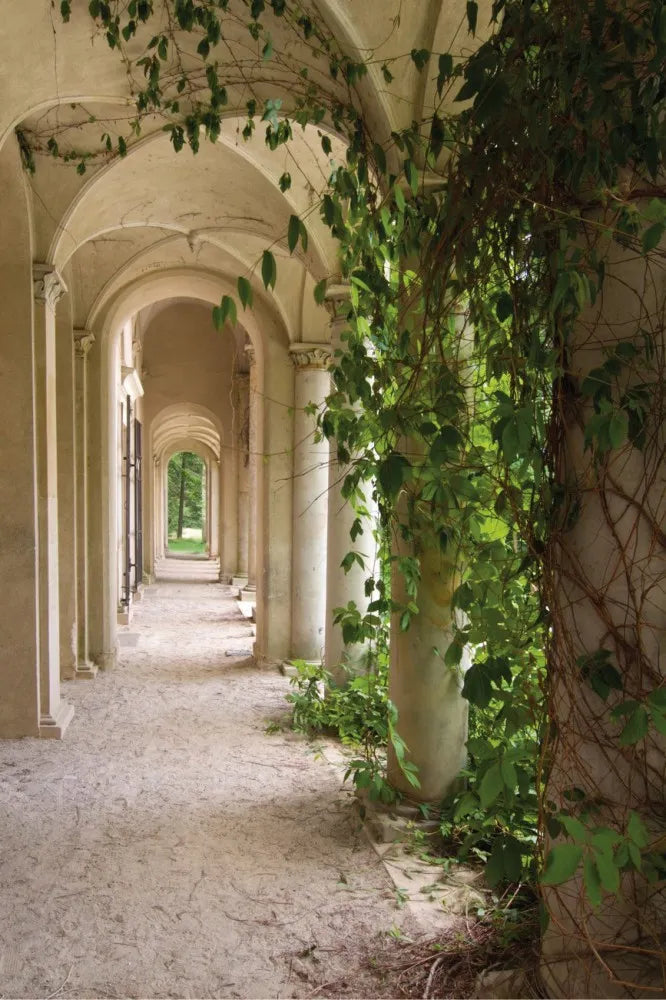 Columns and arches