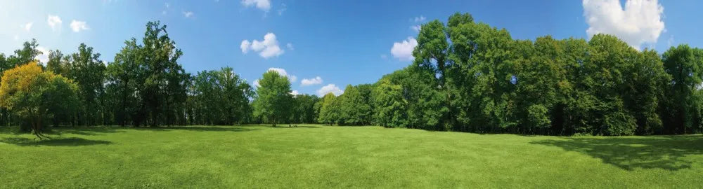 Park lawn
