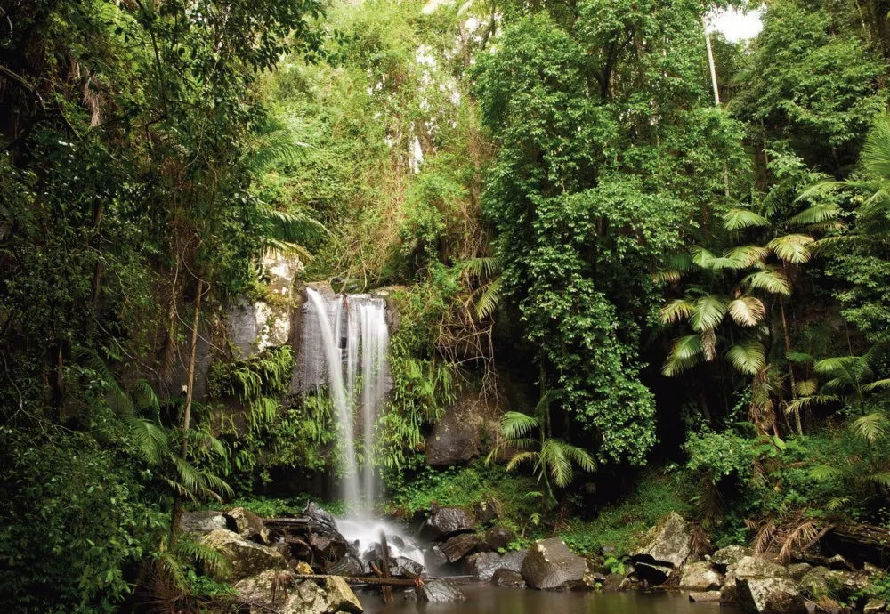 Waterfall
