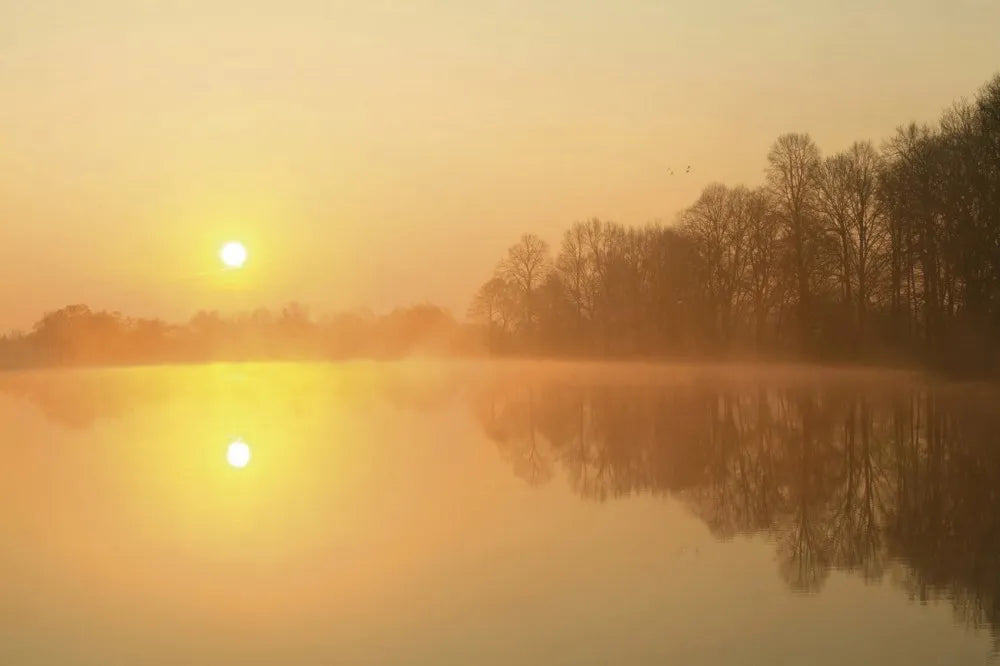 Sun over the lake