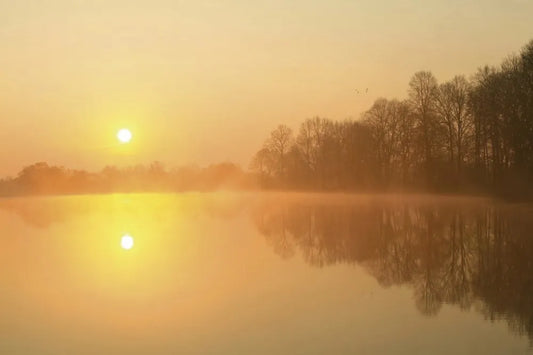 Sun over the lake