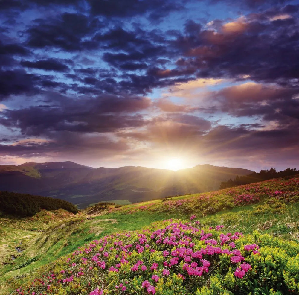 Morning in the mountains