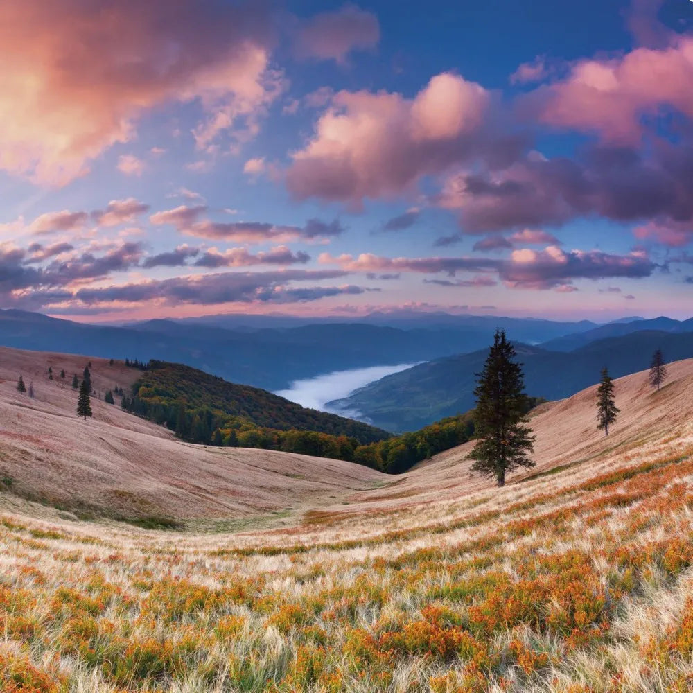 Autumn in the mountains