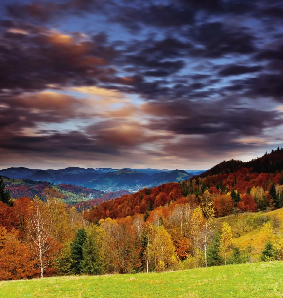 Autumn in the mountains