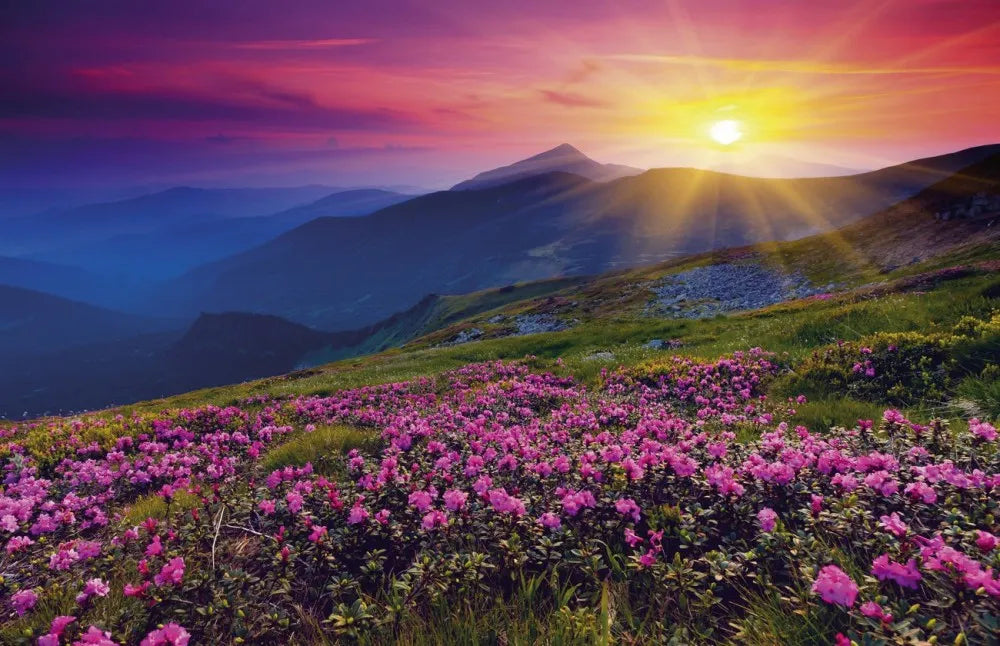 Morning in the mountains