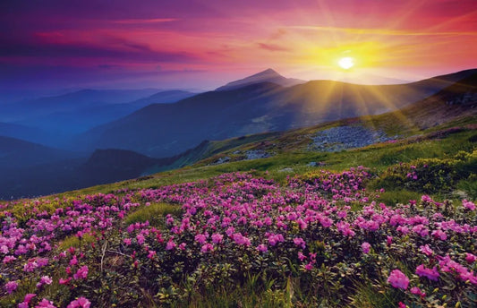 Morning in the mountains