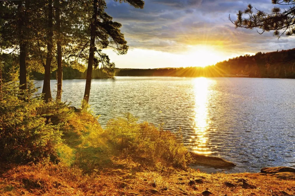 Sun over the river