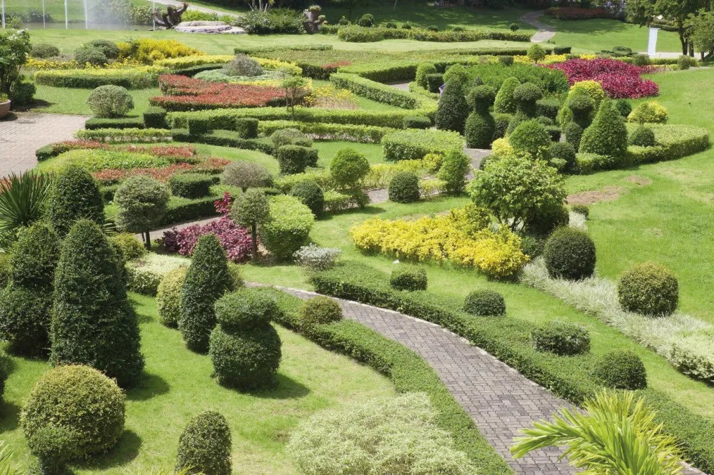 Landscape design in the garden
