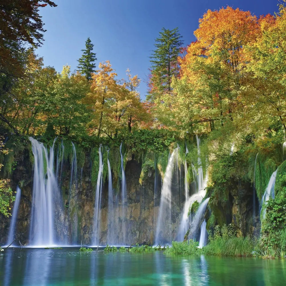 Waterfall in the forest