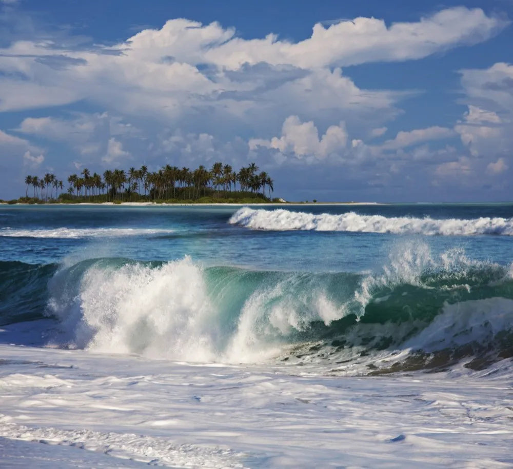 Island in the sea