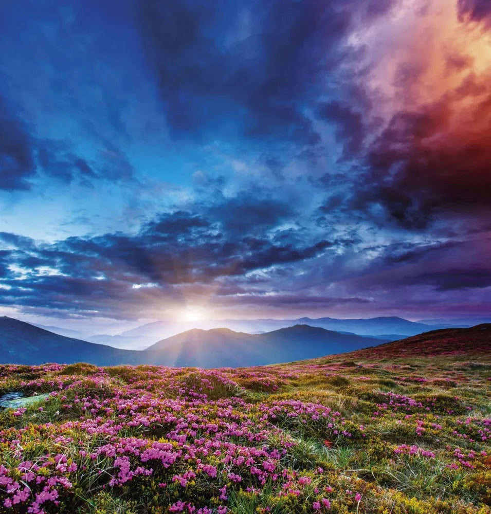 Sunrise in the mountains