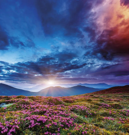 Sunrise in the mountains