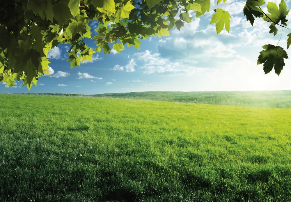 Green field