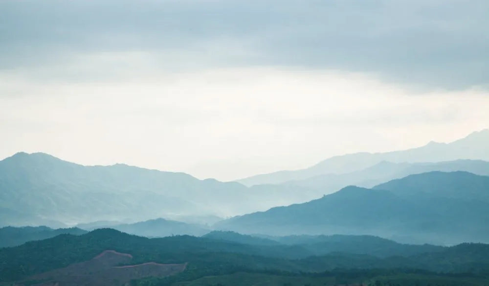 Fog in the mountains