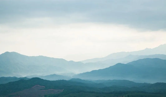 Fog in the mountains
