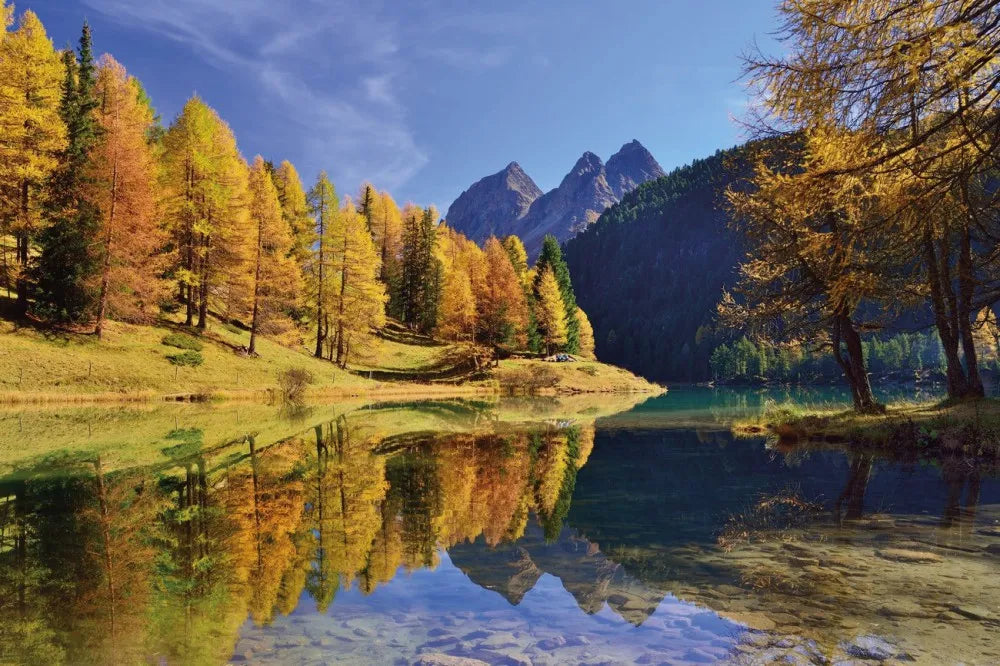 Forest lake