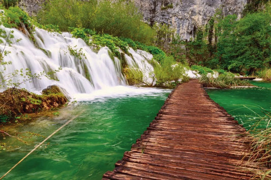 Waterfall in the forest
