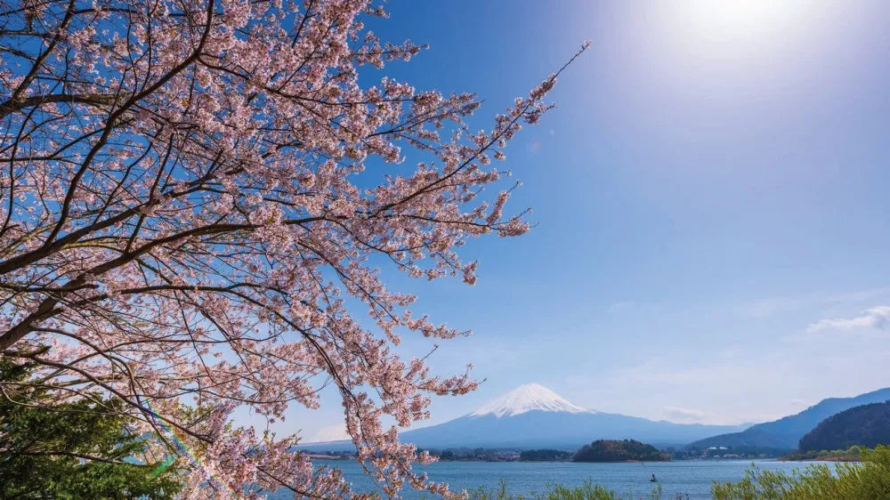 Flowering tree