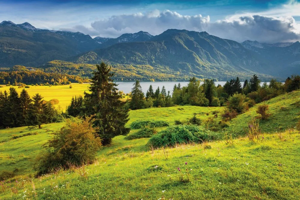 The lake in the valley
