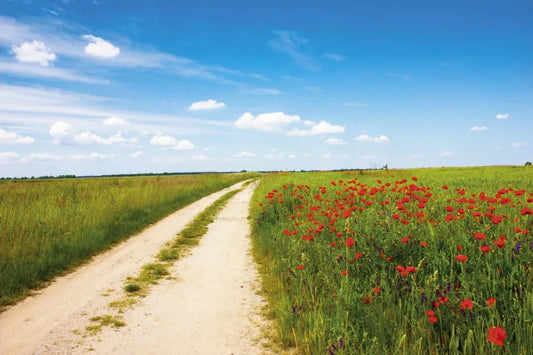 Road in field