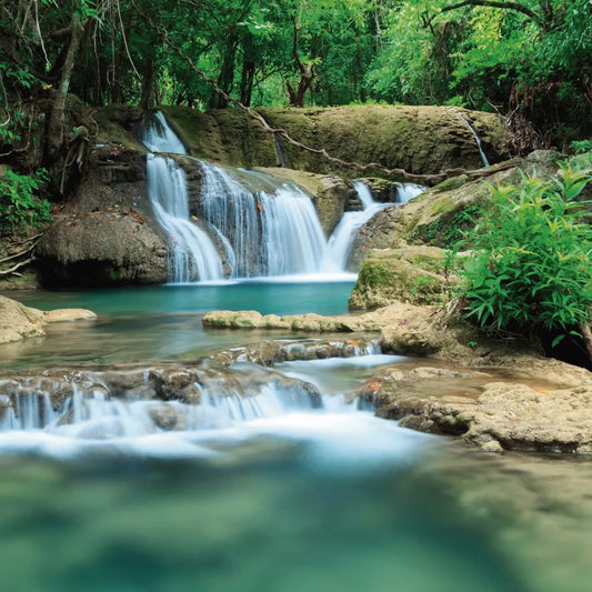 Waterfall in the forest