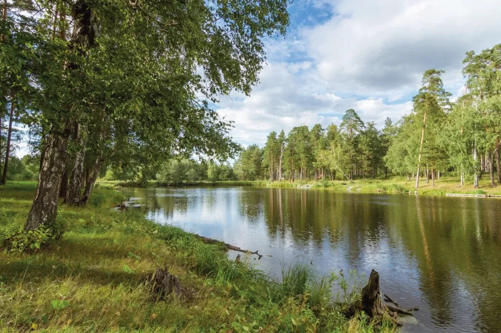 Lake of the woods