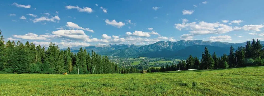 Green field