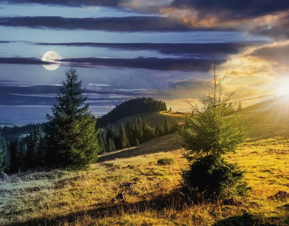 The moon over the lake