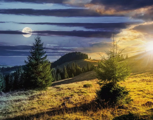 The moon over the lake