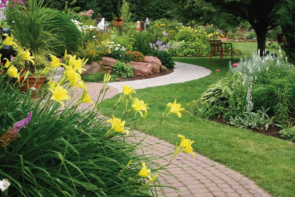 Path in the garden