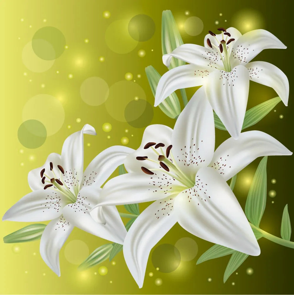 Lily
