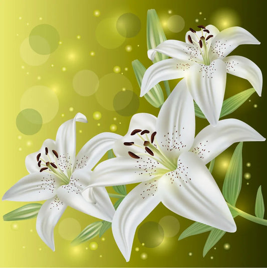 Lily