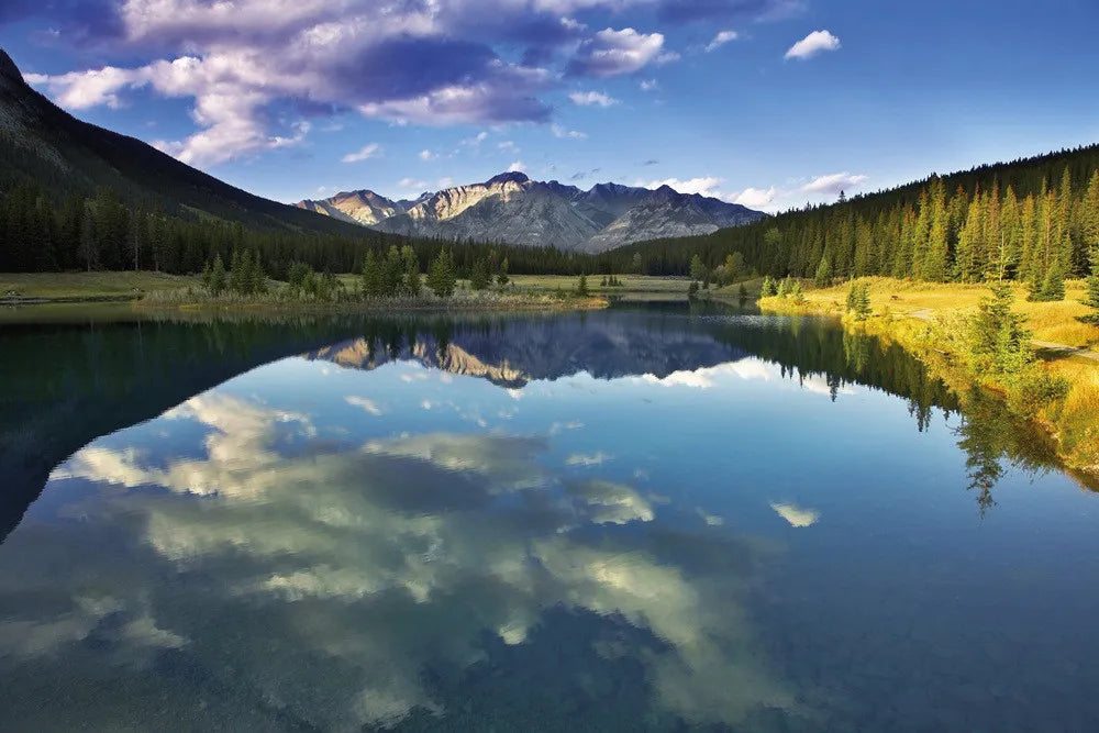 Reflection