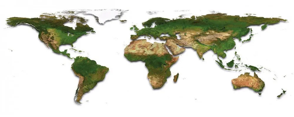 Physical map of the world