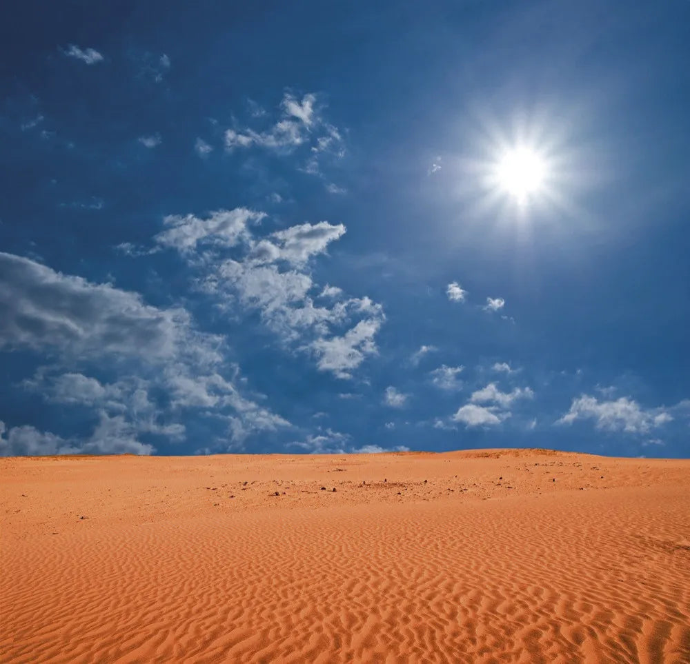 Sun in the desert