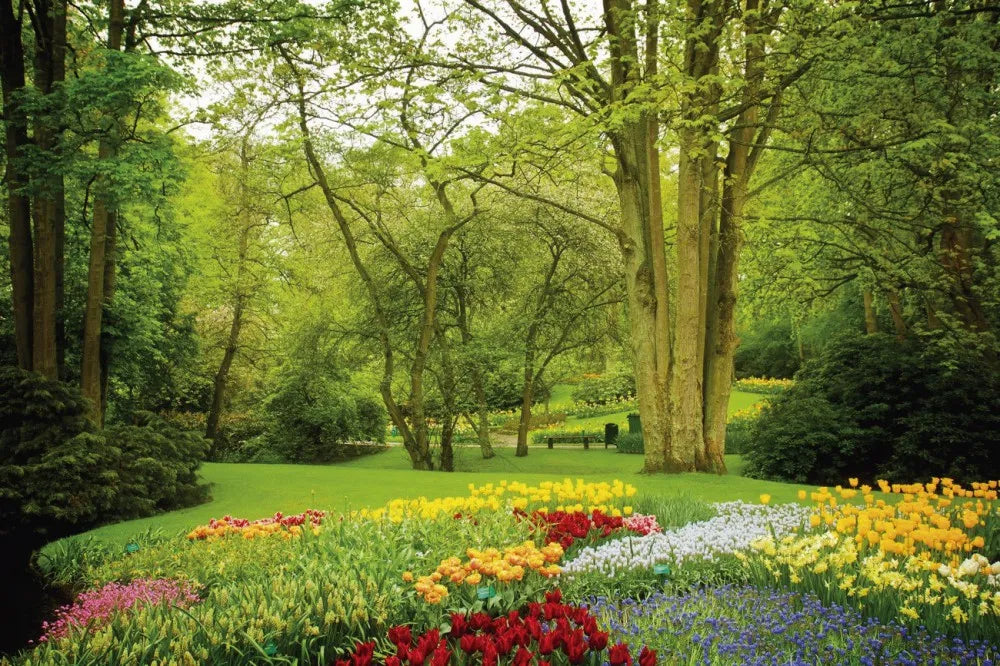 Flower garden