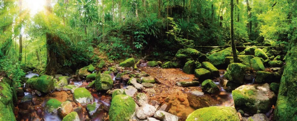 Jungle