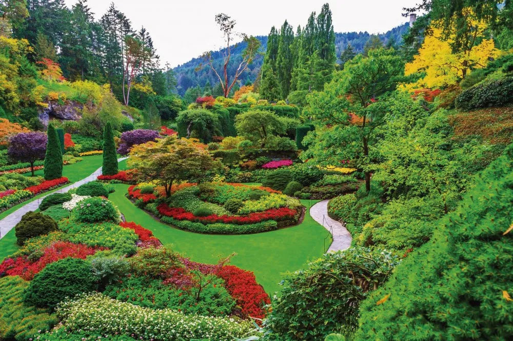 Flower garden
