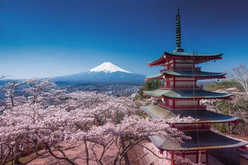 A garden of cherry
